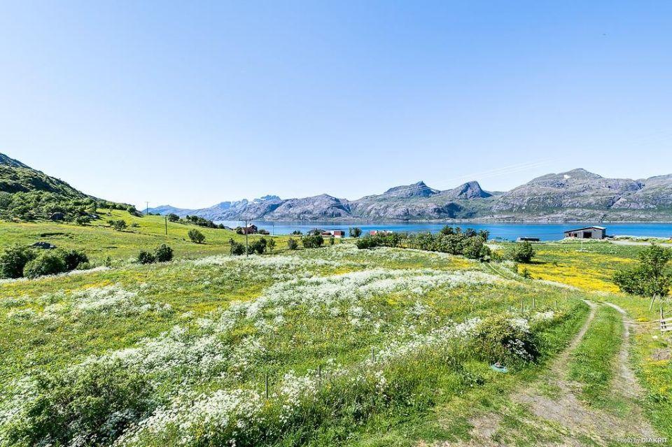 Vevika Lofoten Villa Gravdal  Exterior photo